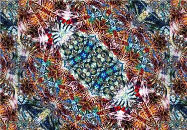 EA宣布 将与NFL续约多年独家电子竞技协议